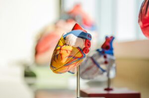 Heart Murmur Clinical Studies